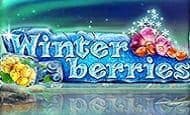 Winterberries Mobile Slots