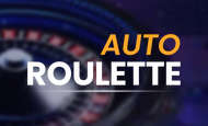 Auto Roulette Mobile Slots