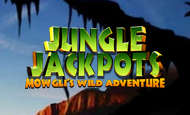 Jungle Jackpots Mobile Slots