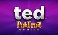 Ted Pub Fruits Series Mobile Slots