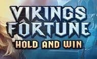 Vikings Fortune: Hold and Win Mobile Slots