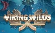 Viking Wilds Mobile Slots