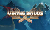 Viking Wilds Mobile Slots