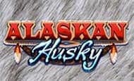 Alaskan Husky Mobile Slots