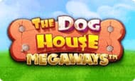 The Dog House Megaways Mobile Slots