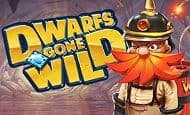 Dwarfs Gone Wild Mobile Slots