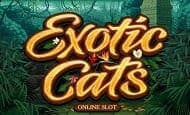 Exotic Cats Mobile Slots