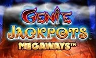 3 genie wishes mobile slot game