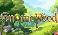 Gnome Wood Mobile Slots