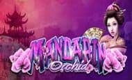 Mandarin Orchid Mobile Slots