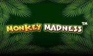 Monkey Madness Mobile Slots