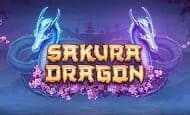 Sakura Dragon Mobile Slots