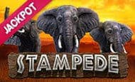 Stampede Jackpot Mobile Slots