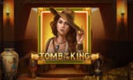 Tomb of the King Mobile Slots