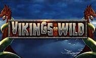 Vikings Go Wild Mobile Slots