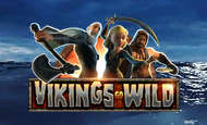 Vikings Go Wild Mobile Slots