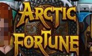 Arctic Fortune Mobile Slots