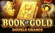 Book of Gold: Double Chance Slot