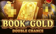 Book of Gold: Double Chance Mobile Slots