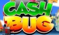 Cash Bug Mobile Slots UK