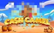 Cash Camel Mobile Slots