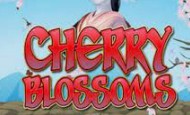 Cherry Blossoms Mobile Slots