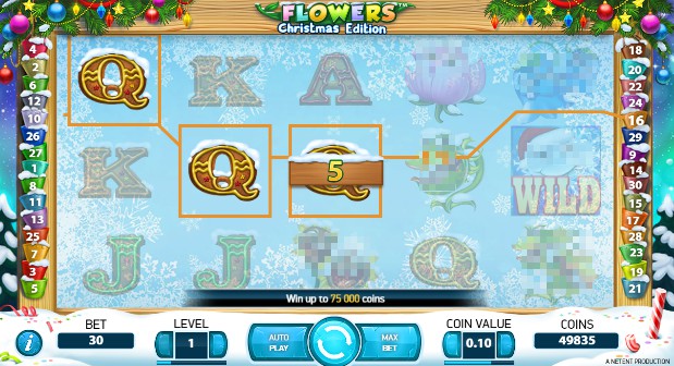 Flowers Christmas Edition on mobile