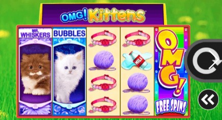 OMG Kittens Mobile Slots UK