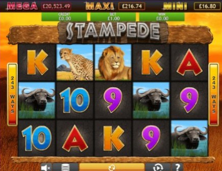 Stampede Jackpot on mobile