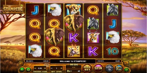 Stampede Slot