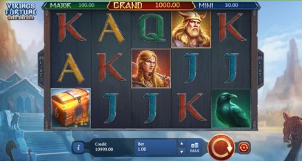 Vikings Fortune: Hold and Win on mobile