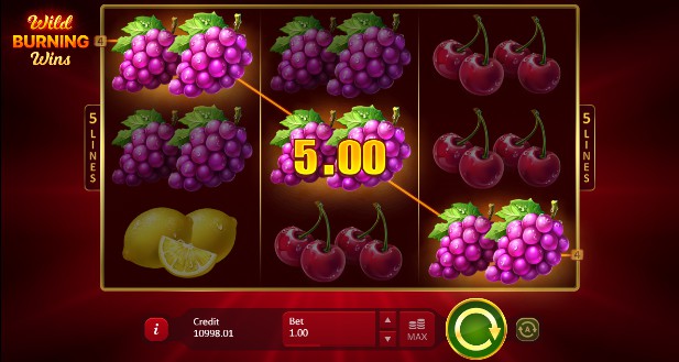 Wild Burning Wins: 5 Lines Mobile Slots