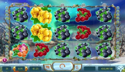 Winterberries on mobile